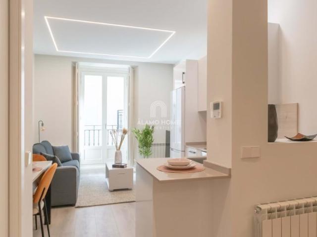 Alquiler Apartamentos Madrid Madrid DLS99748579