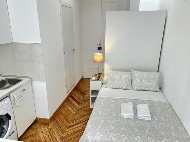 Alquiler Apartamentos Madrid Madrid DLS100720583
