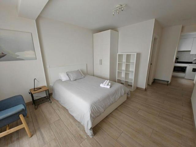 Alquiler Apartamentos Madrid Madrid DLS100723693