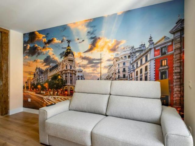 Alquiler Apartamentos Madrid Madrid DLS101643127