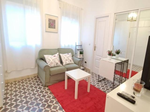Alquiler Apartamentos Madrid Madrid DLS101730842