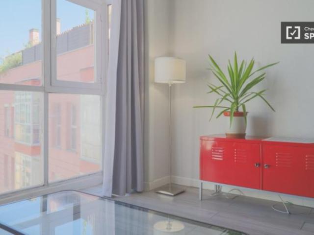 Alquiler Apartamentos Madrid Madrid DLS101736392