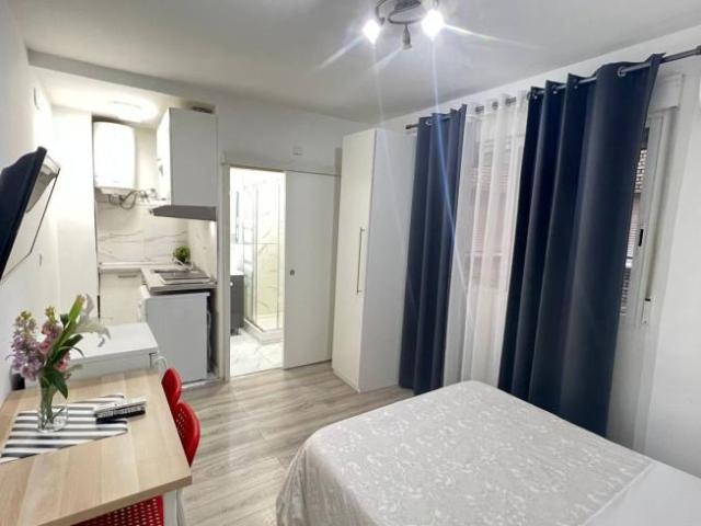 Alquiler Apartamentos Madrid Madrid DLS101764974