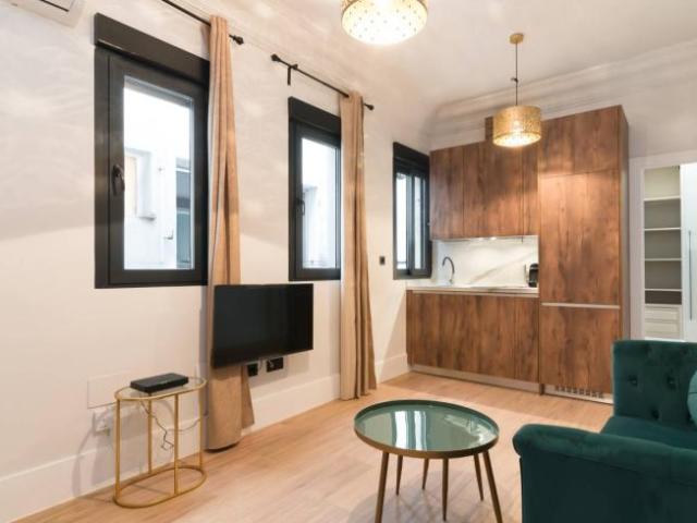 Alquiler Apartamentos Madrid Madrid DLS101772507