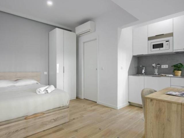 Alquiler Apartamentos Madrid Madrid DLS101794535