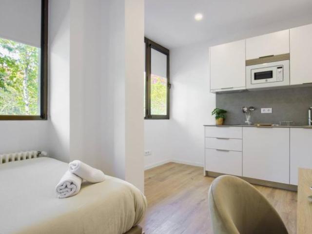 Alquiler Apartamentos Madrid Madrid DLS101805362