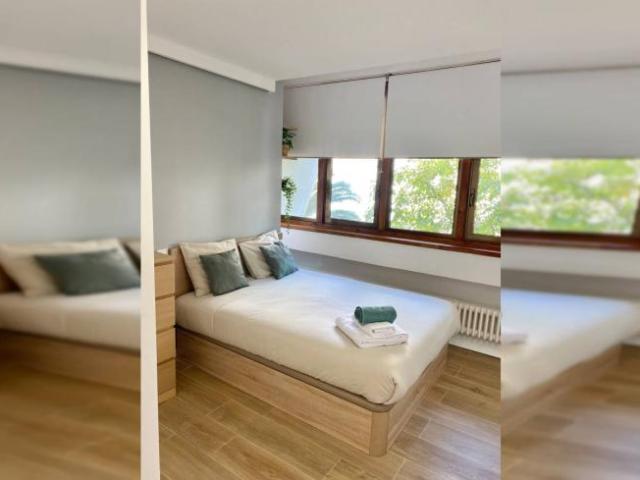 Alquiler Apartamentos Madrid Madrid DLS101809026