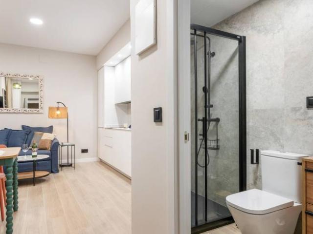 Alquiler Apartamentos Madrid Madrid DLS101811936