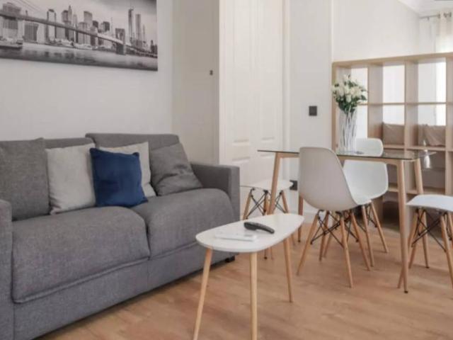 Alquiler Apartamentos Madrid Madrid DLS101812504