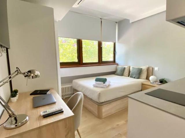 Alquiler Apartamentos Madrid Madrid DLS101813790