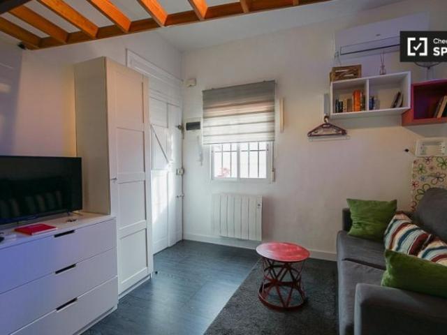Alquiler Apartamentos Madrid Madrid DLS101813859