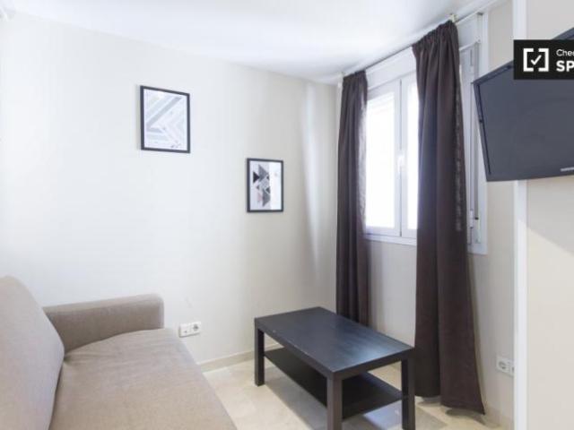 Alquiler Apartamentos Madrid Madrid DLS101813066