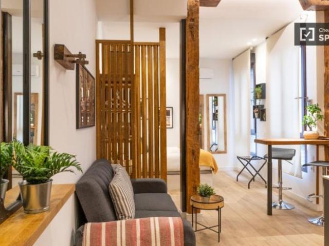Alquiler Apartamentos Madrid Madrid DLS101813266