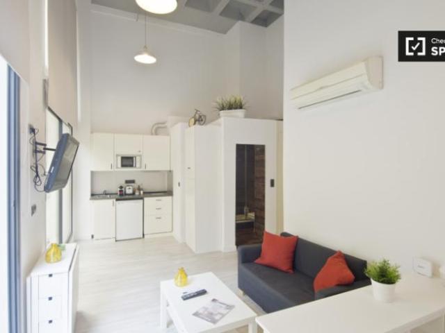 Alquiler Apartamentos Madrid Madrid DLS101814838