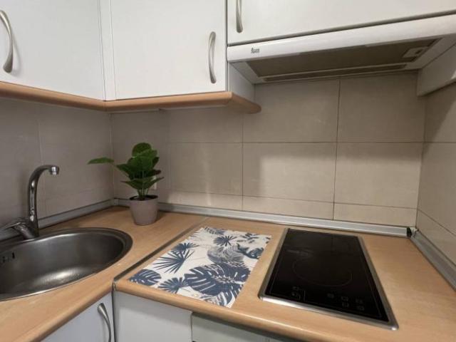 Alquiler Apartamentos Madrid Madrid DLS101814355