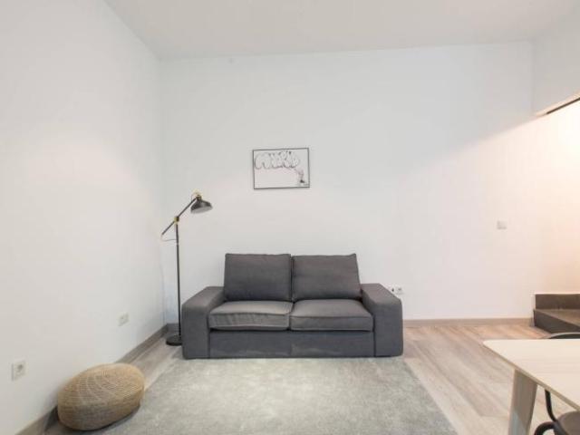 Alquiler Apartamentos Madrid Madrid DLS101814362