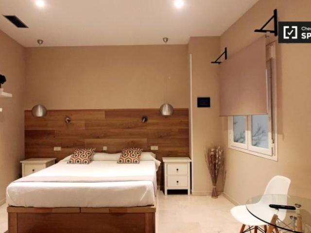 Alquiler Apartamentos Madrid Madrid DLS101818497