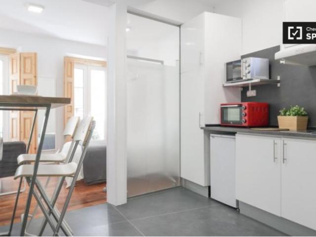 Alquiler Apartamentos Madrid Madrid DLS101818831