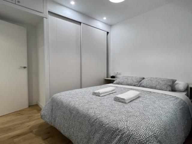 Alquiler Apartamentos Madrid Madrid DLS101822236