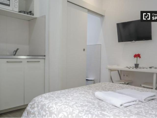 Alquiler Apartamentos Madrid Madrid DLS101841623