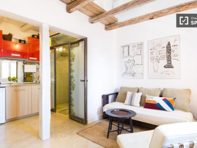 Alquiler Apartamentos Madrid Madrid DLS101853578