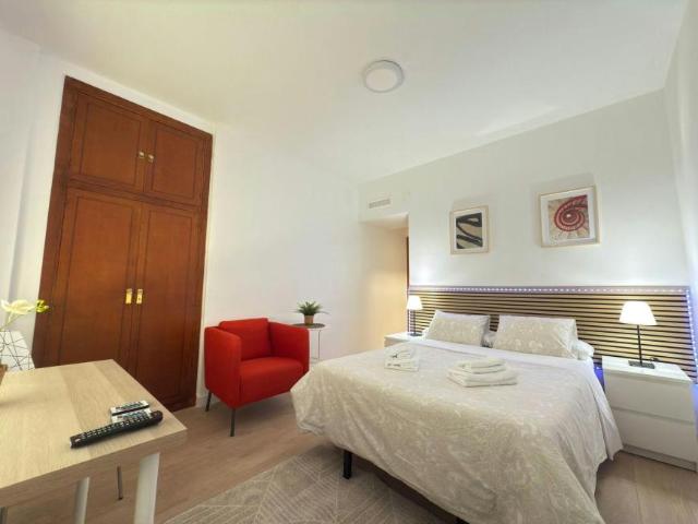 Alquiler Apartamentos Madrid Madrid DLS101916949