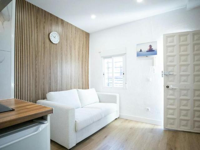 Alquiler Apartamentos Madrid Madrid DLS101153180