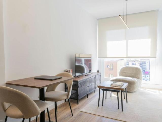 Alquiler Apartamentos Madrid Madrid DLS102703470