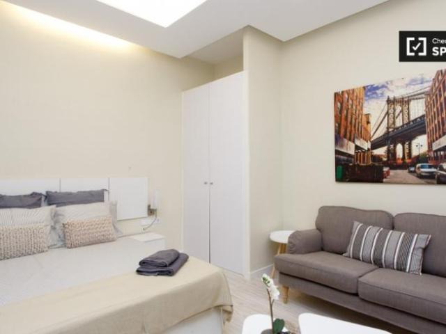Alquiler Apartamentos Madrid Madrid DLS102797031