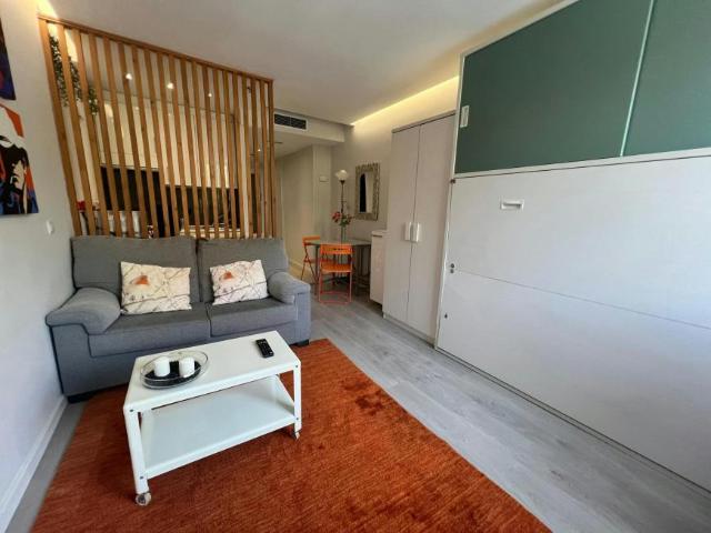 Alquiler Apartamentos Madrid Madrid DLS102246257