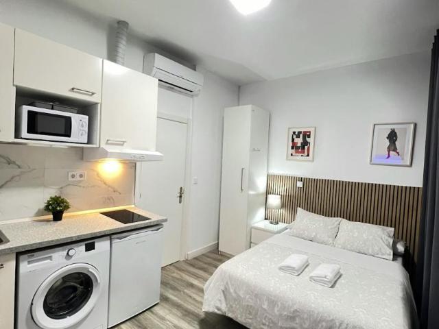 Alquiler Apartamentos Madrid Madrid DS100606493