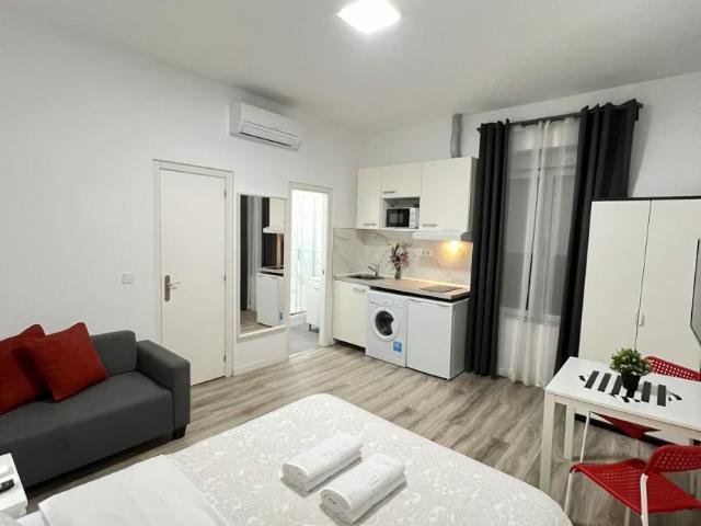 Alquiler Apartamentos Madrid Madrid DS100606496