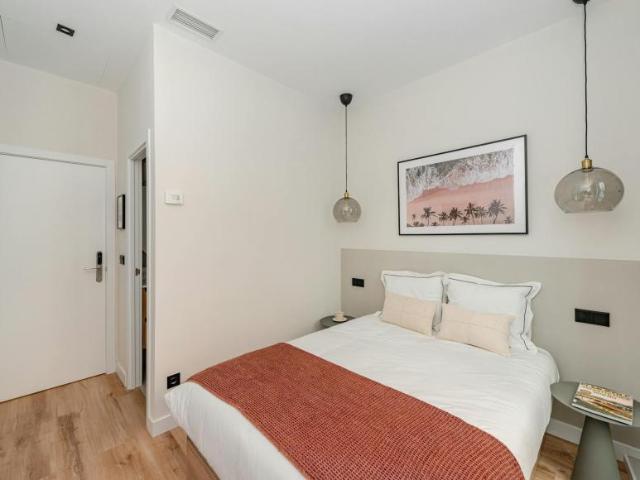 Alquiler Apartamentos Madrid Madrid DS100724196