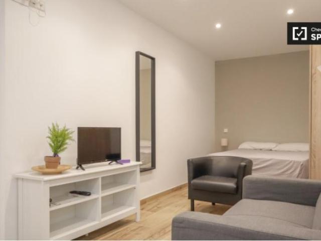 Alquiler Apartamentos Madrid Madrid DS100945762