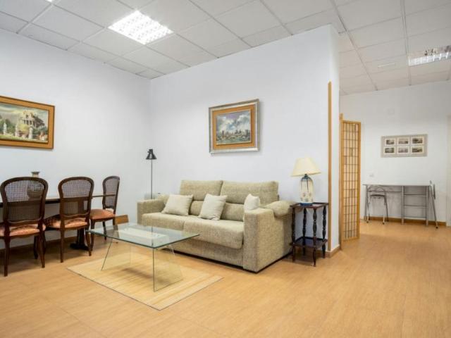 Alquiler Apartamentos Madrid Madrid DS100914310