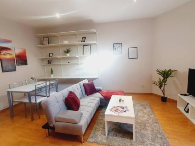 Alquiler Apartamentos Madrid Madrid DS101191233