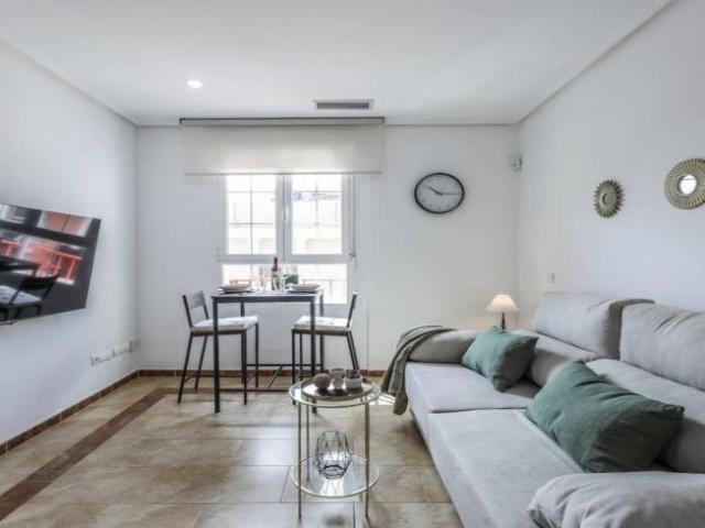 Alquiler Apartamentos Madrid Madrid DS101545586