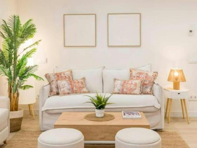 Alquiler Apartamentos Madrid Madrid DS101588118