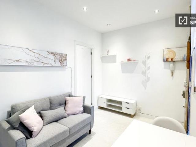 Alquiler Apartamentos Madrid Madrid DS101692519