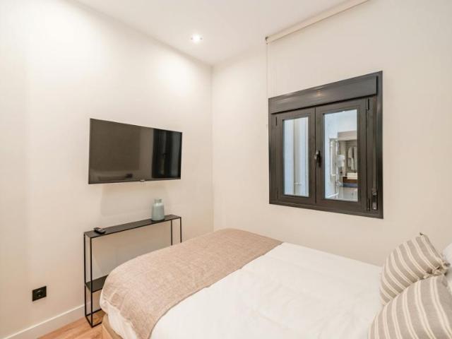 Alquiler Apartamentos Madrid Madrid DS101847245