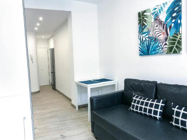 Alquiler Apartamentos Madrid Madrid DS101848211