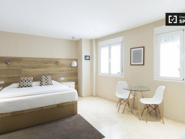 Alquiler Apartamentos Madrid Madrid DS101813193