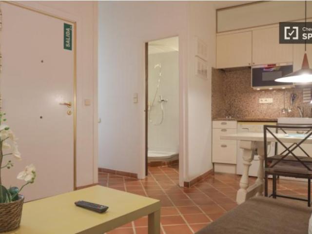 Alquiler Apartamentos Madrid Madrid DS101814544