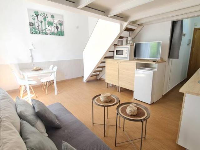 Alquiler Apartamentos Madrid Madrid DS101818111