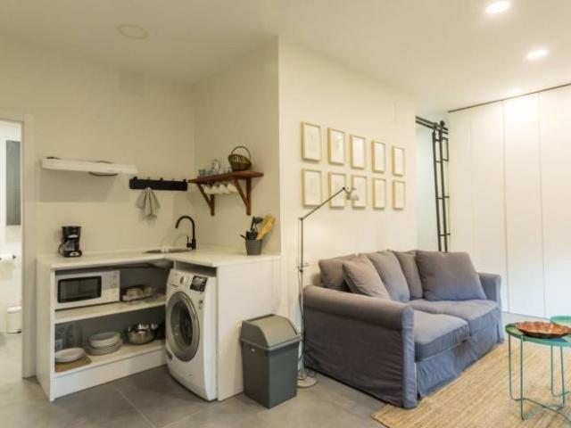 Alquiler Apartamentos Madrid Madrid DS101820053