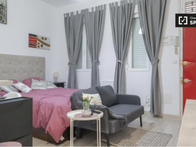 Alquiler Apartamentos Madrid Madrid DS101835209