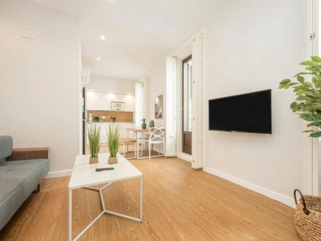 Alquiler Apartamentos Madrid Madrid DS101988862