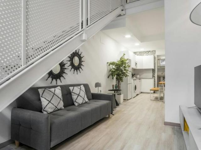 Alquiler Apartamentos Madrid Madrid DS102309016