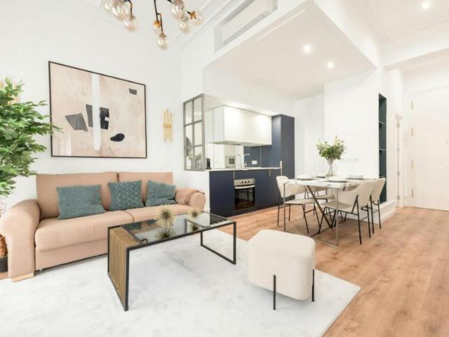 Alquiler Apartamentos Madrid Madrid DS102470397