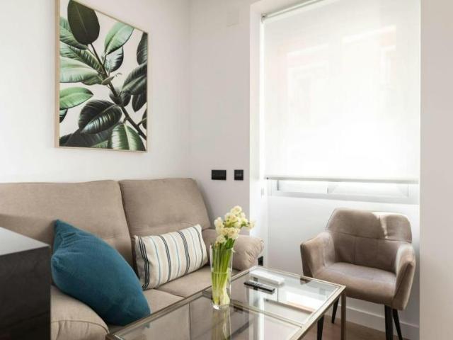 Alquiler Apartamentos Madrid Madrid DS102553917